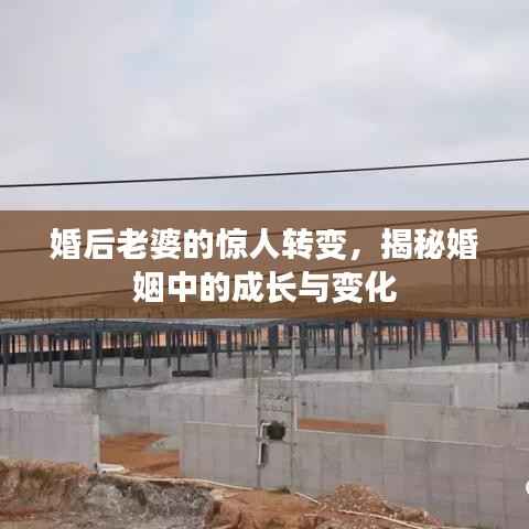 婚后老婆的惊人转变,揭秘婚姻中的成长与变化