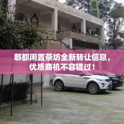 郫都闲置茶坊全新转让信息,优质商机不容错过!